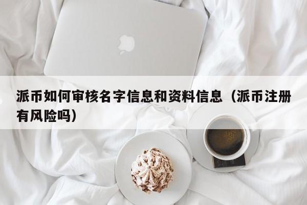派币如何审核名字信息和资料信息（派币注册有风险吗） 第1张