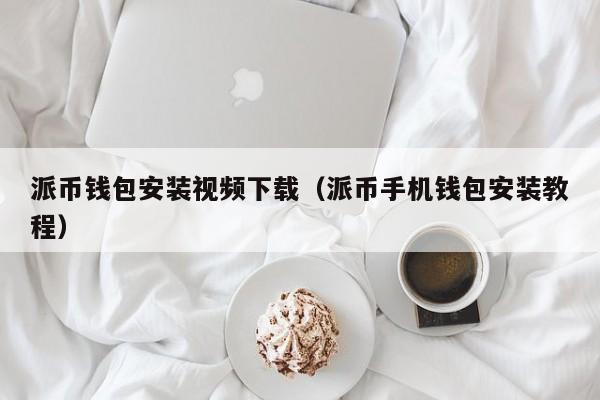 派币钱包安装视频下载（派币手机钱包安装教程） 第1张