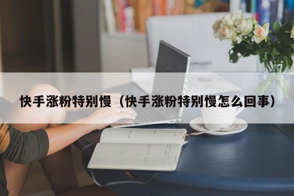 快手涨粉特别慢（快手涨粉特别慢怎么回事） 第1张