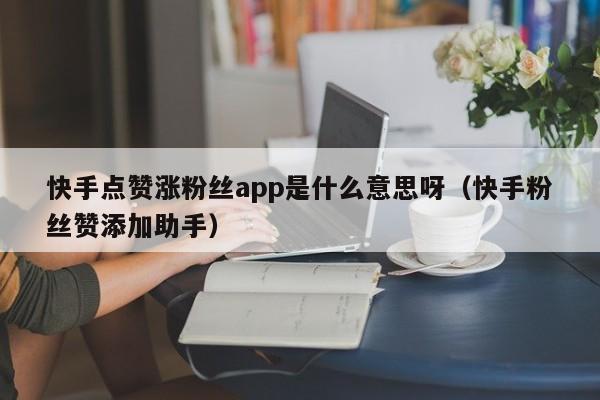 快手点赞涨粉丝app是什么意思呀（快手粉丝赞添加助手） 第1张