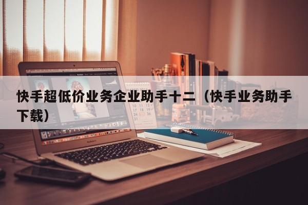 快手超低价业务企业助手十二（快手业务助手下载） 第1张