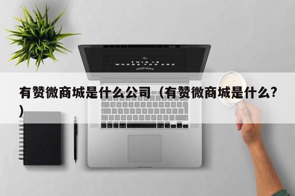 有赞微商城是什么公司(有赞微商城是什么?) 第1张 有赞微商城是什么公司(有赞微商城是什么?) 第1张