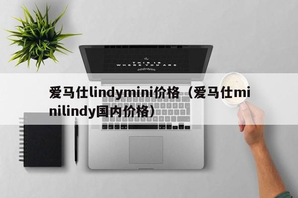爱马仕lindymini价格（爱马仕minilindy国内价格） 第1张