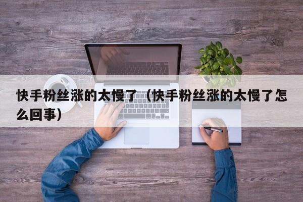 快手粉丝涨的太慢了(快手粉丝涨的太慢了怎么回事) 第1张 快手粉丝涨的太慢了(快手粉丝涨的太慢了怎么回事) 第1张