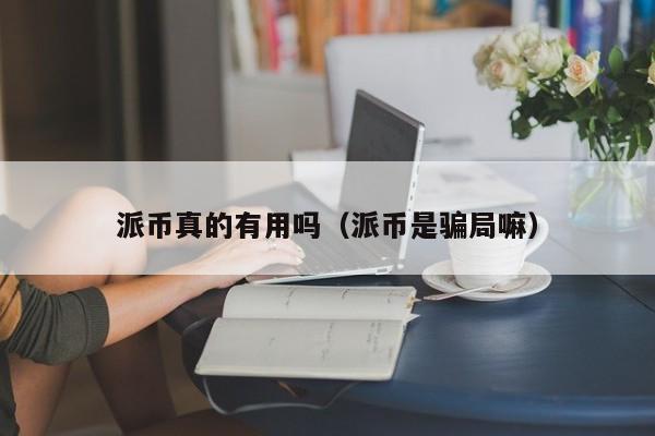 派币真的有用吗(派币是骗局嘛) 第1张 派币真的有用吗(派币是骗局嘛) 第1张