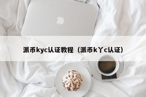 派币kyc认证教程（派币k丫c认证） 第1张