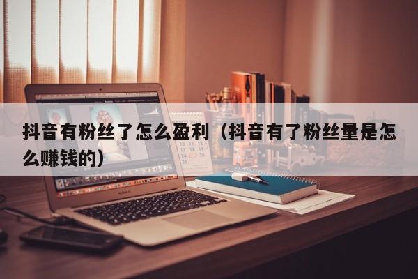 抖音有粉丝了怎么盈利（抖音有了粉丝量是怎么赚钱的） 第1张