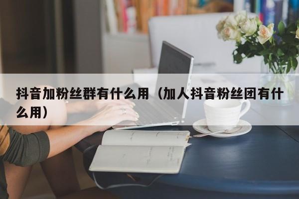 抖音加粉丝群有什么用（加人抖音粉丝团有什么用） 第1张