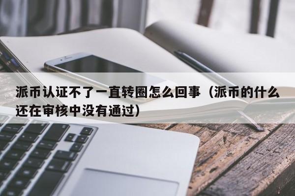 派币认证不了一直转圈怎么回事（派币的什么还在审核中没有通过） 第1张