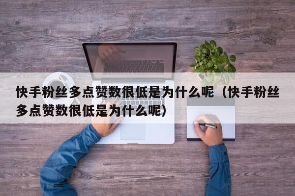 快手粉丝多点赞数很低是为什么呢（快手粉丝多点赞数很低是为什么呢） 第1张