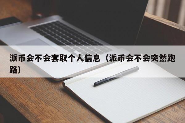 派币会不会套取个人信息（派币会不会突然跑路） 第1张
