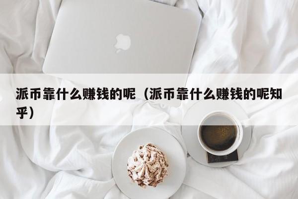 派币靠什么赚钱的呢（派币靠什么赚钱的呢知乎） 第1张