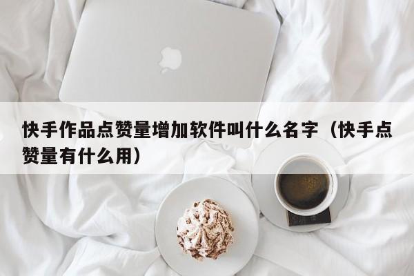 快手作品点赞量增加软件叫什么名字（快手点赞量有什么用） 第1张