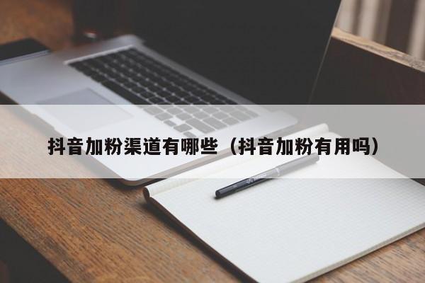 抖音加粉渠道有哪些（抖音加粉有用吗） 第1张
