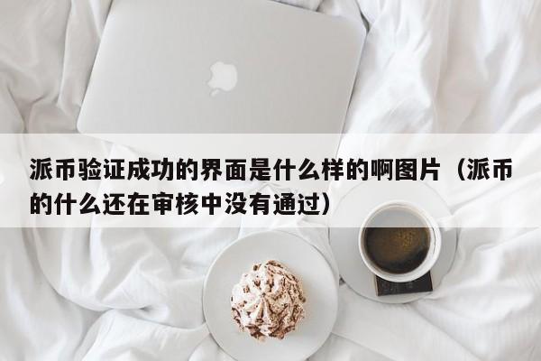 派币验证成功的界面是什么样的啊图片（派币的什么还在审核中没有通过） 第1张