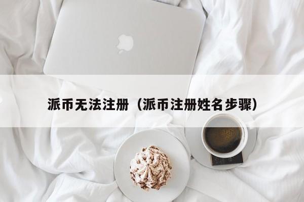 派币无法注册（派币注册姓名步骤） 第1张