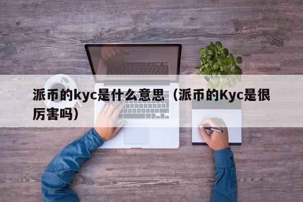 派币的kyc是什么意思（派币的Kyc是很厉害吗） 第1张