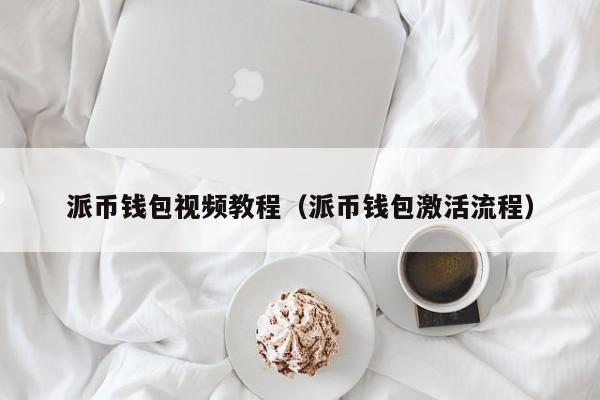 派币钱包视频教程（派币钱包激活流程） 第1张