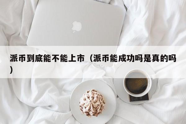 派币到底能不能上市（派币能成功吗是真的吗） 第1张