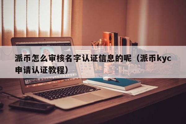 派币怎么审核名字认证信息的呢（派币kyc申请认证教程） 第1张