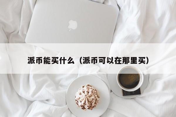 派币能买什么（派币可以在那里买） 第1张