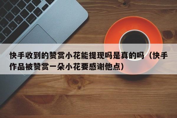 快手收到的赞赏小花能提现吗是真的吗(快手作品被赞赏一朵小花要感谢他点) 第1张 快手收到的赞赏小花能提现吗是真的吗(快手作品被赞赏一朵小花要感谢他点) 第1张