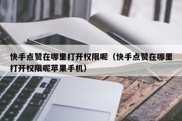 快手点赞在哪里打开权限呢（快手点赞在哪里打开权限呢苹果手机） 第1张