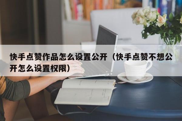 快手点赞作品怎么设置公开（快手点赞不想公开怎么设置权限） 第1张