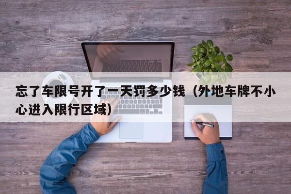 忘了车限号开了一天罚多少钱（外地车牌不小心进入限行区域） 第1张