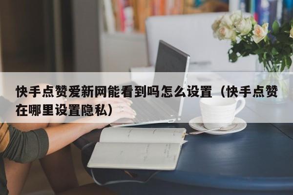 快手点赞爱新网能看到吗怎么设置（快手点赞在哪里设置隐私） 第1张