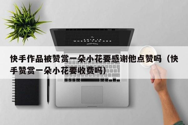 快手作品被赞赏一朵小花要感谢他点赞吗（快手赞赏一朵小花要收费吗） 第1张