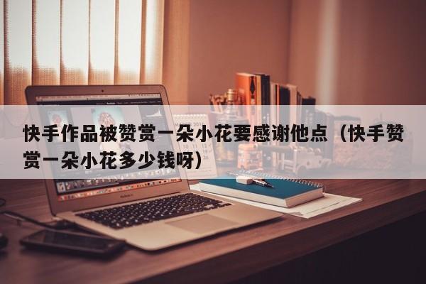 快手作品被赞赏一朵小花要感谢他点（快手赞赏一朵小花多少钱呀） 第1张