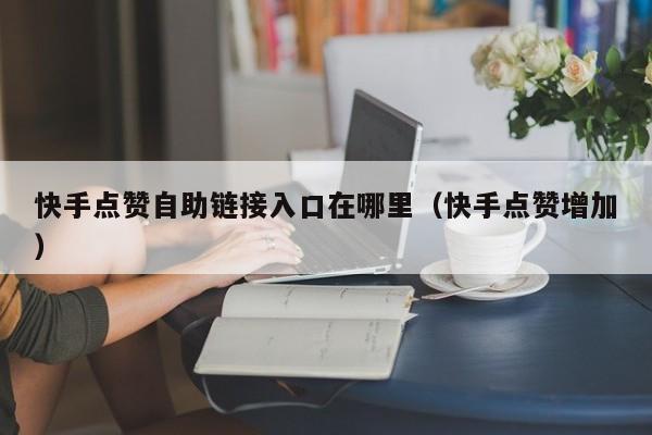 快手点赞自助链接入口在哪里（快手点赞增加） 第1张